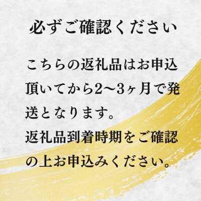 宮崎牛 赤身ステーキ200g 万能だれ付き