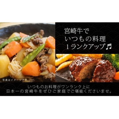 宮崎牛 こま肉・ミンチセット1kg 万能だれ付き