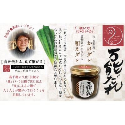 宮崎牛 こま肉・ミンチセット1kg 万能だれ付き