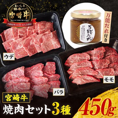宮崎牛 焼肉セット (ウデ、バラ、モモ) 450g 万能だれ付き