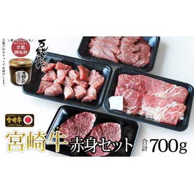 宮崎牛 赤身4種セット700g 万能だれ付き
