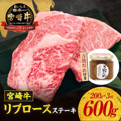 宮崎牛 リブロースステーキ600g 万能だれ付き