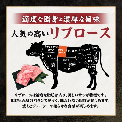 宮崎牛 リブロースステーキ600g 万能だれ付き