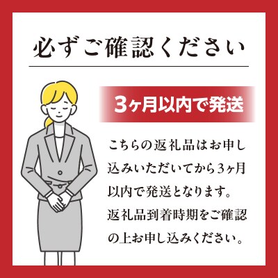宮崎牛 リブロースステーキ600g 万能だれ付き