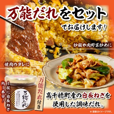 宮崎牛 リブロースブロック1kg 万能だれ付き