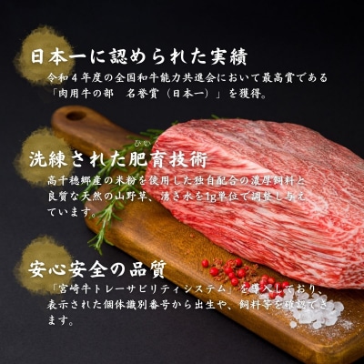 宮崎県産黒毛和牛A4等級以上 高千穂牛赤身ブロック 800g