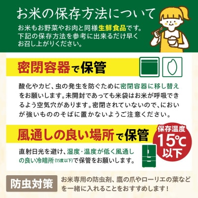 令和7年産【12か月定期便】13代目甲斐長衛門が選び抜いた高千穂産ひのひかり長衛門米5㎏×12回