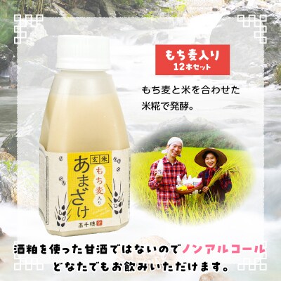 あまざけ ちほまろ 150g　12本セット【もち麦】