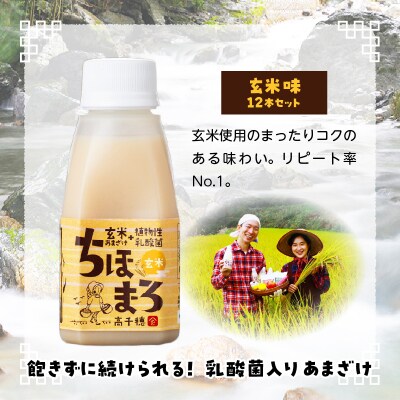 乳酸菌入りあまざけ ちほまろ 150g　12本セット【玄米のみ】