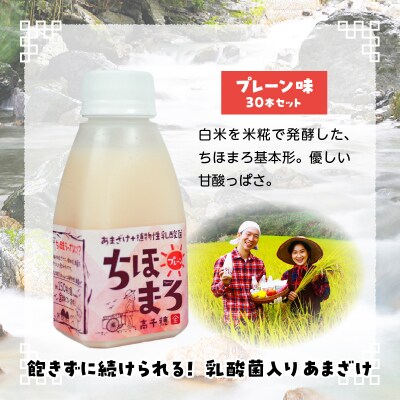 乳酸菌入りあまざけ ちほまろ 150g　30本セット【プレーンのみ】