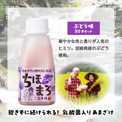 乳酸菌入りあまざけ ちほまろ 150g　30本セット【ぶどうのみ】