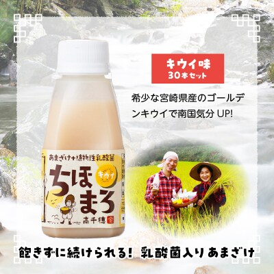 乳酸菌入りあまざけ ちほまろ 150g　30本セット【キウイのみ】