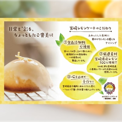 宮崎レモンケーキ4個入り2箱セット 贈答用
