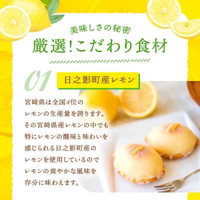 訳あり「宮崎レモンケーキ」 10個入りサイズ不揃い