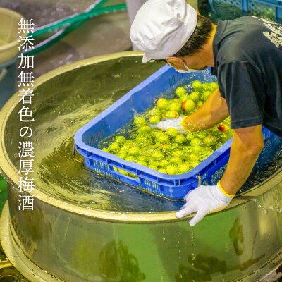 熟成梅酒720ml 2本セット 宮崎県高千穂産梅使用