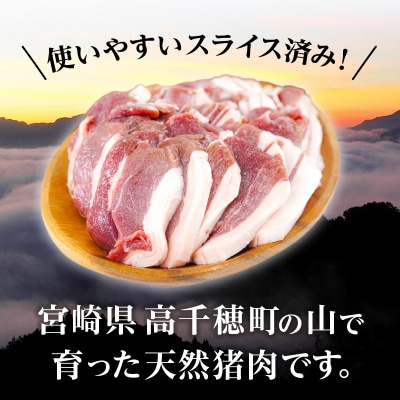天然猪肉 スライス 700g 宮崎県高千穂町産 ジビエ