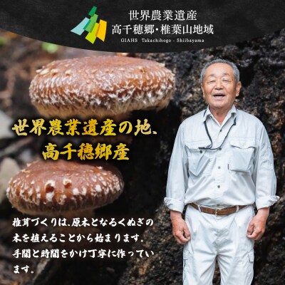 ユキダルマ様用　松茸 モンベル ｜ オンラインストア ｜ 原木乾しいたけ 6種