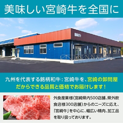 宮崎牛 こま肉・ミンチセット1kg