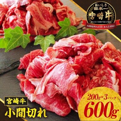 宮崎牛 こま切れ600g