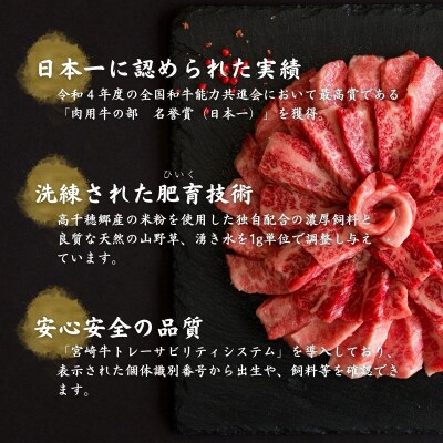 宮崎県産黒毛和牛A4等級以上 高千穂牛バラ肉 500g
