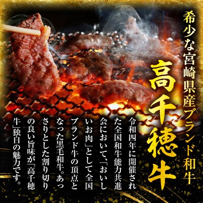 宮崎県産黒毛和牛A4等級以上 高千穂牛バラ肉 500g