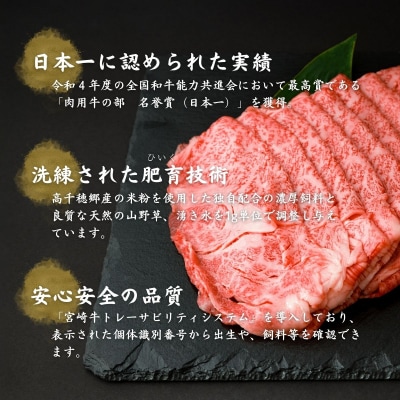 宮崎県産黒毛和牛A4等級以上 高千穂牛肩ローススライス 500g