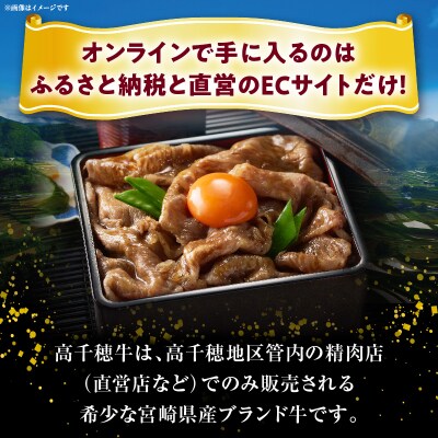 宮崎県産黒毛和牛A4等級以上 高千穂牛肩ローススライス 500g