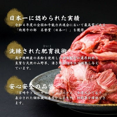 宮崎県産黒毛和牛A4等級以上 高千穂牛すじ 500g×2パック