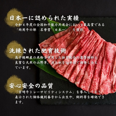 【期間限定】宮崎県産黒毛和牛高千穂牛ウデスライスすき焼き用 500g + 高千穂牛ハンバーグ1個