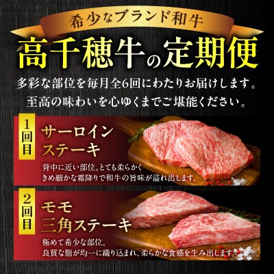 宮崎県産黒毛和牛A4等級以上 高千穂牛ステーキ・スライス定期便(6ヶ月定期便)