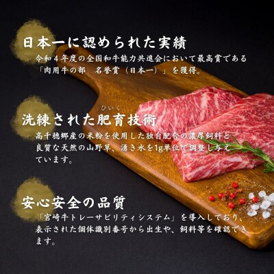 宮崎県産黒毛和牛A4等級以上 高千穂牛ステーキ・スライス定期便(6ヶ月定期便)