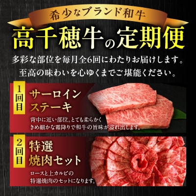 宮崎県産黒毛和牛A4等級以上 高千穂牛フルコース(6ヶ月定期便)
