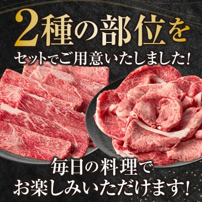 宮崎県産黒毛和牛赤身(ウデまたはモモ)・霜降り焼きしゃぶ1kg