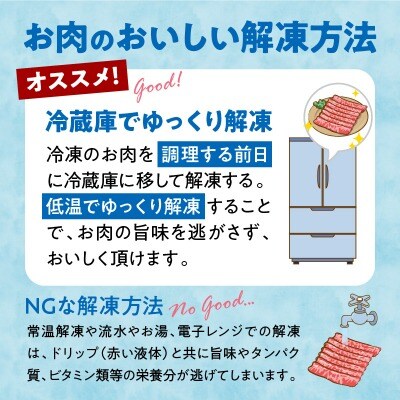 宮崎県産黒毛和牛赤身(ウデまたはモモ)・霜降り焼きしゃぶ1kg
