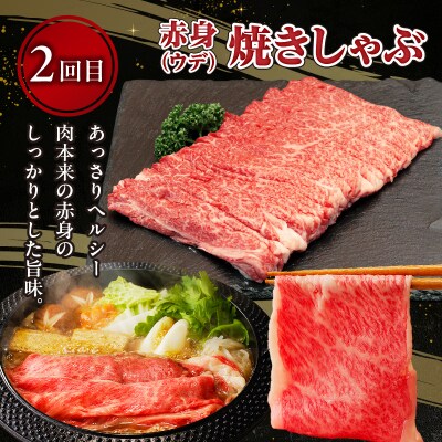 【3か月定期便】宮崎牛お楽しみ定期便