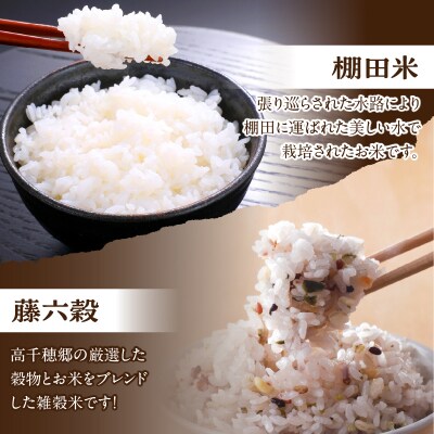 濃厚高千穂郷産緑茶のテリーヌと高千穂の恵みを味わうセット