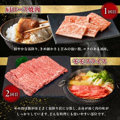 【6か月定期便】宮崎牛プレミアム定期便