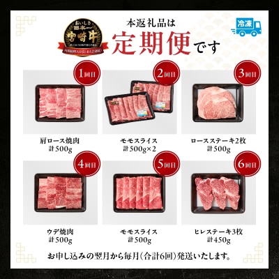 【6か月定期便】宮崎牛プレミアム定期便