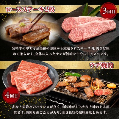 【6か月定期便】宮崎牛プレミアム定期便