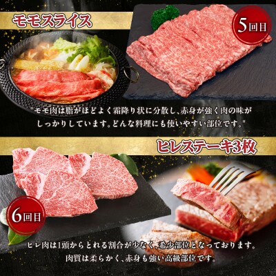 【6か月定期便】宮崎牛プレミアム定期便