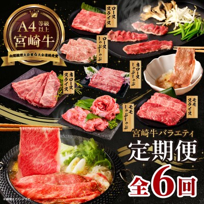 【6か月定期便】宮崎牛バラエティ定期便