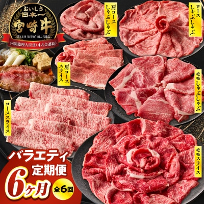 【6か月定期便】宮崎牛バラエティ定期便