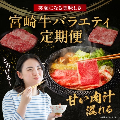 【6か月定期便】宮崎牛バラエティ定期便