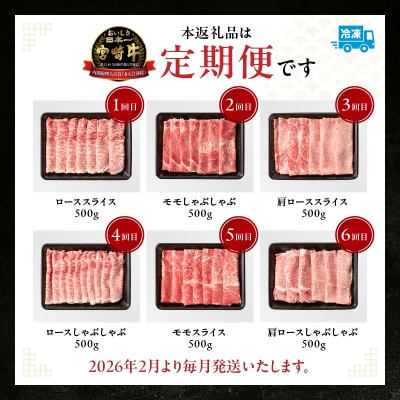 【6か月定期便】宮崎牛バラエティ定期便