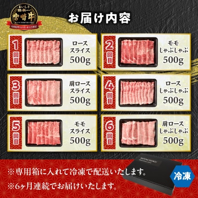 【6か月定期便】宮崎牛バラエティ定期便