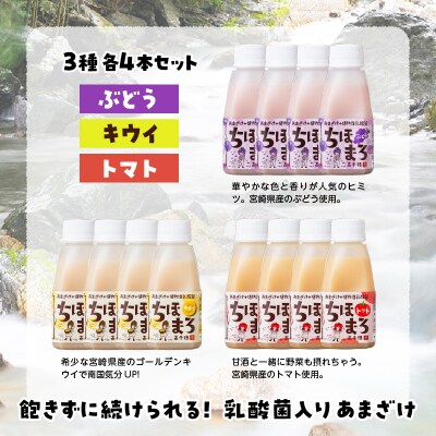 乳酸菌入りあまざけ ちほまろ 150g　12本セット【キウイ トマト ぶどう】