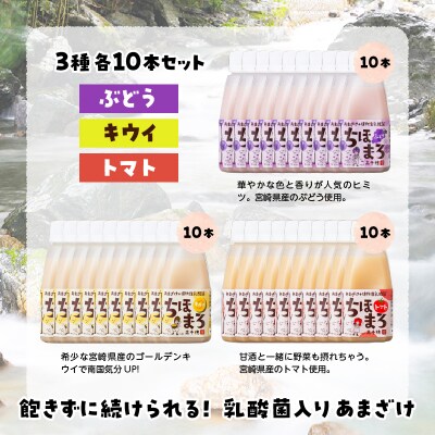 乳酸菌入りあまざけ ちほまろ 150g　30本セット【キウイ トマト ぶどう】