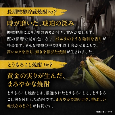 長期樫樽熟成焼酎『金銀財宝』一升瓶2本