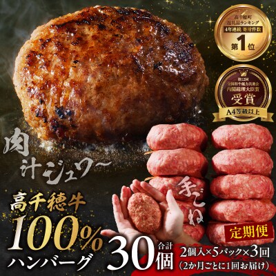 【3回定期便】 高千穂牛100%ハンバーグ定期便(2か月ごとに1回お届け)
