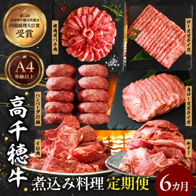 【6か月定期便】高千穂牛煮込み料理6か月定期便